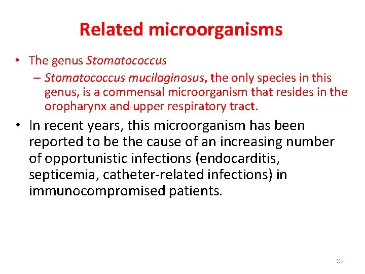 Related microorganisms • The genus Stomatococcus – Stomatococcus mucilaginosus, the only species in this