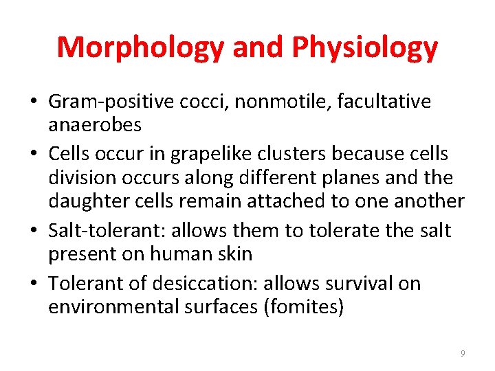 Morphology and Physiology • Gram-positive cocci, nonmotile, facultative anaerobes • Cells occur in grapelike