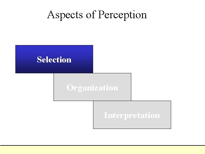 Aspects of Perception Selection Organization Interpretation 