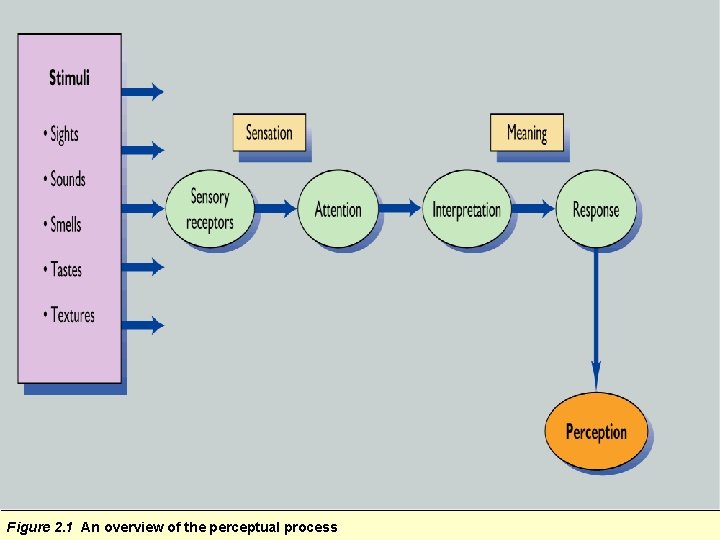 Figure 2. 1 An overview of the perceptual process Figure 2. 1 An overview of the perceptual process