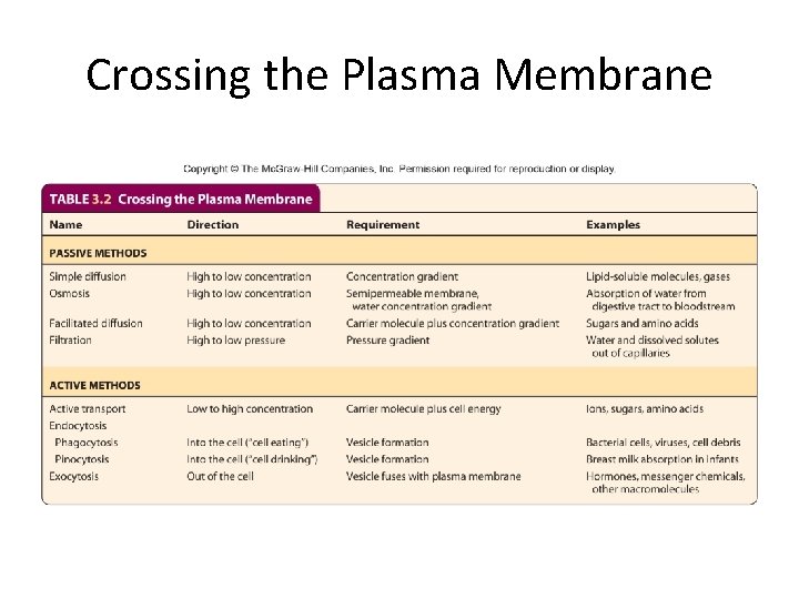 Crossing the Plasma Membrane 