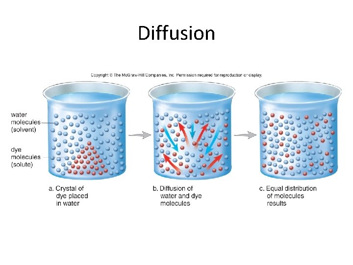 Diffusion 