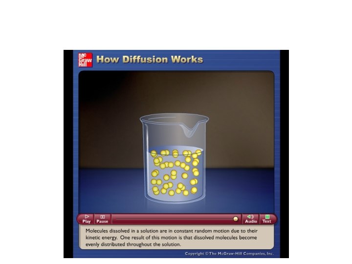 Please note that due to differing operating systems, some animations will not appear until