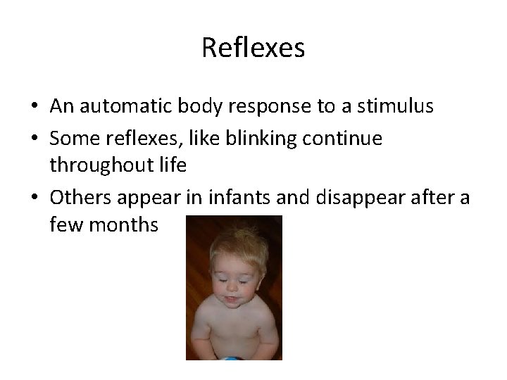 Reflexes • An automatic body response to a stimulus • Some reflexes, like blinking