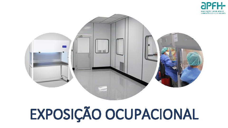 EXPOSIÇÃO OCUPACIONAL 