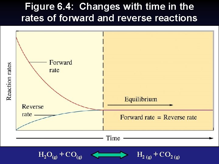 Figure 6. 4: Changes with time in the rates of forward and reverse reactions