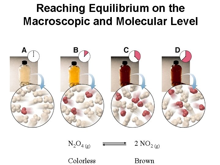 Reaching Equilibrium on the Macroscopic and Molecular Level N 2 O 4 (g) 2