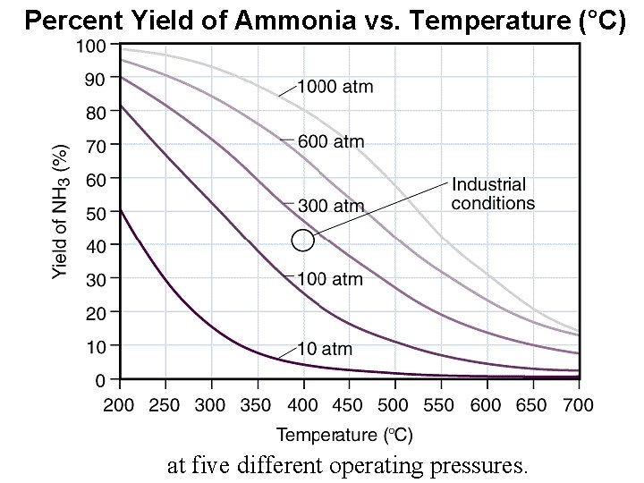 Percent Yield of Ammonia vs. Temperature (°C) at five different operating pressures. 