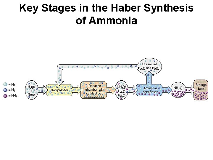 Key Stages in the Haber Synthesis of Ammonia 
