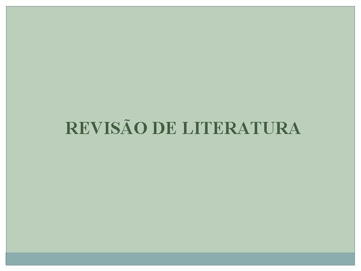 REVISÃO DE LITERATURA 