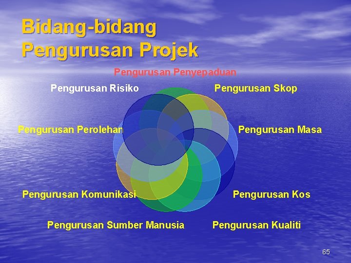 Bidang-bidang Pengurusan Projek Pengurusan Penyepaduan Pengurusan Risiko Pengurusan Perolehan Pengurusan Komunikasi Pengurusan Sumber Manusia