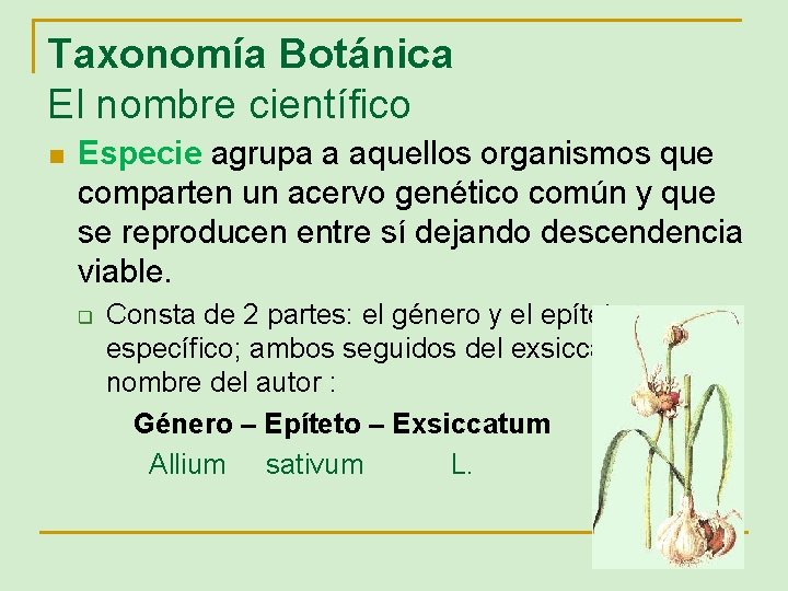 Taxonomía Botánica El nombre científico n Especie agrupa a aquellos organismos que comparten un