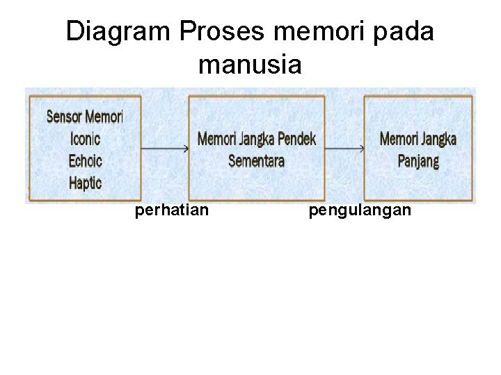 Diagram Proses memori pada manusia perhatian pengulangan 