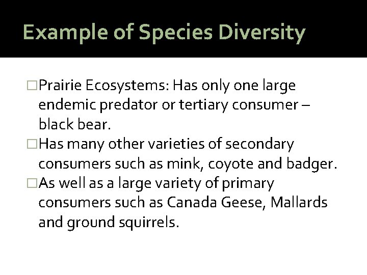 Example of Species Diversity �Prairie Ecosystems: Has only one large endemic predator or tertiary