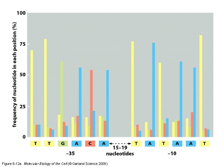 Figure 6 -12 a Molecular Biology of the Cell (© Garland Science 2008) 