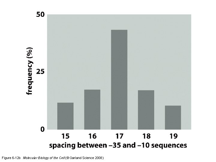 Figure 6 -12 b Molecular Biology of the Cell (© Garland Science 2008) 