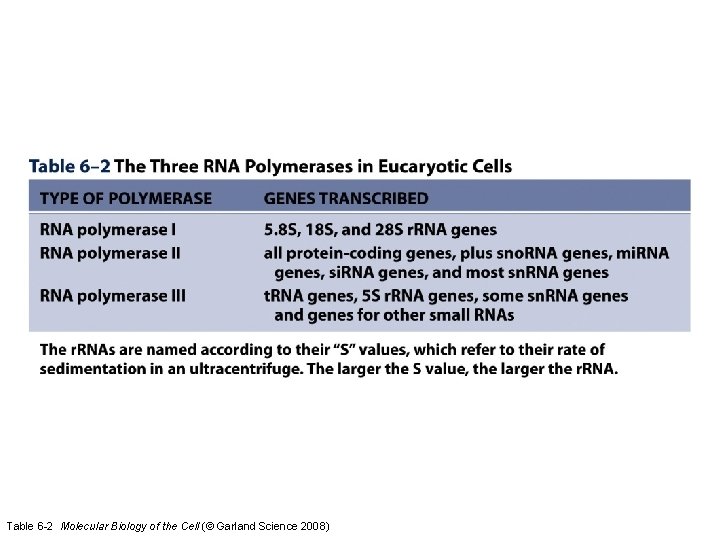 Table 6 -2 Molecular Biology of the Cell (© Garland Science 2008) 