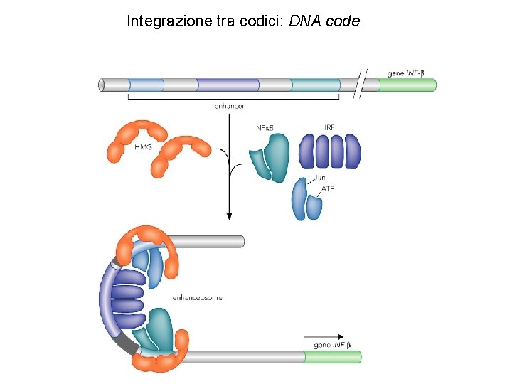 Integrazione tra codici: DNA code 