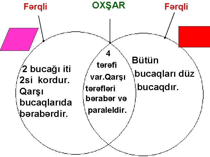 Fərqli 2 bucağı iti 2 si kordur. Qarşı bucaqlarıda bərabərdir. OXŞAR Fərqli 4 Bütün