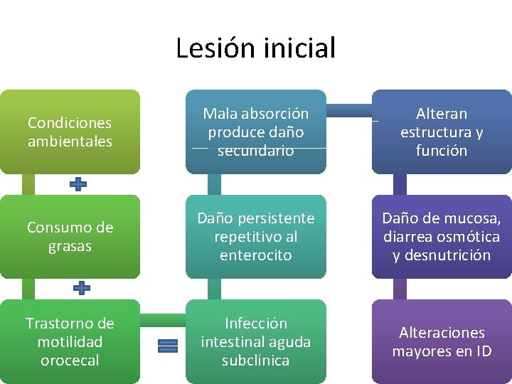 Lesión inicial Condiciones ambientales Mala absorción produce daño secundario Alteran estructura y función Consumo