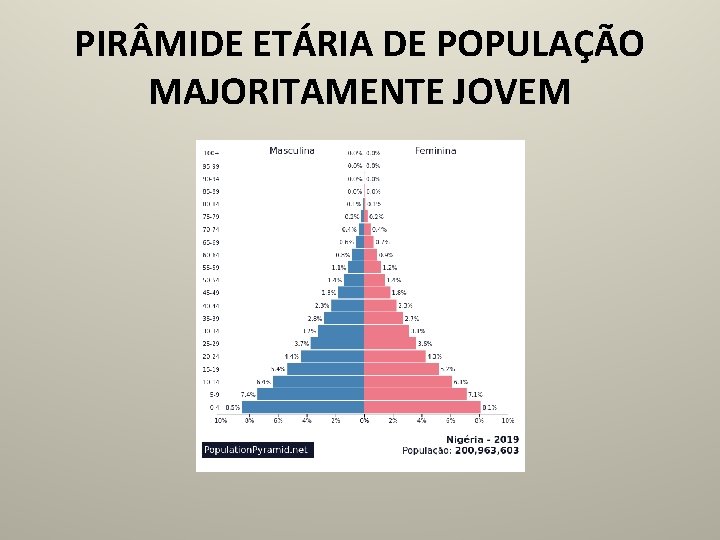 PIR MIDE ETÁRIA DE POPULAÇÃO MAJORITAMENTE JOVEM 