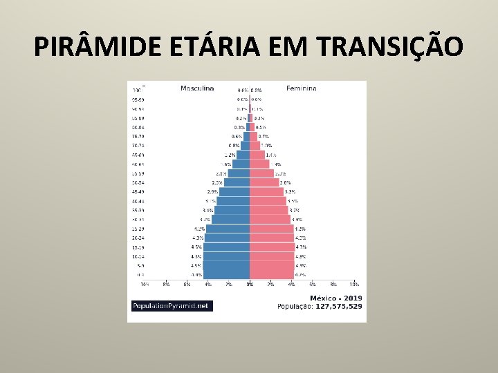 PIR MIDE ETÁRIA EM TRANSIÇÃO 