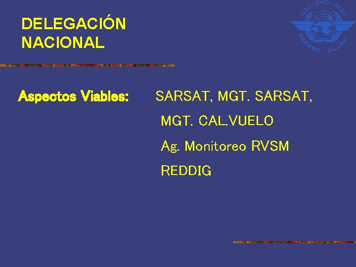 DELEGACIÓN NACIONAL Aspectos Viables: SARSAT, MGT. CAL. VUELO Ag. Monitoreo RVSM REDDIG 