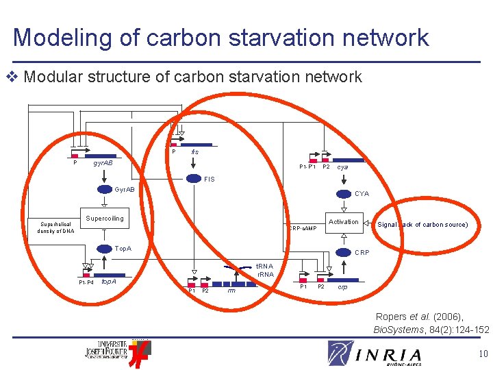 Qualitative Simulation of the Carbon Starvation Response in