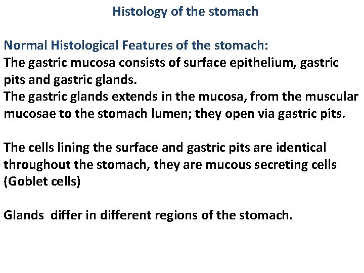 Histology of the stomach Normal Histological Features of the stomach: The gastric mucosa consists