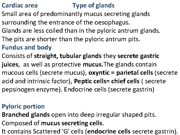 Cardiac area Type of glands Small area of predominantly mucus secreting glands surrounding the