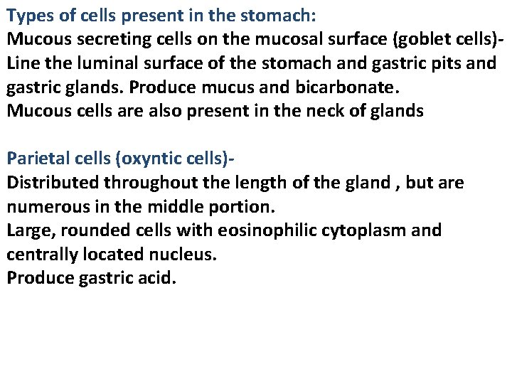 Types of cells present in the stomach: Mucous secreting cells on the mucosal surface