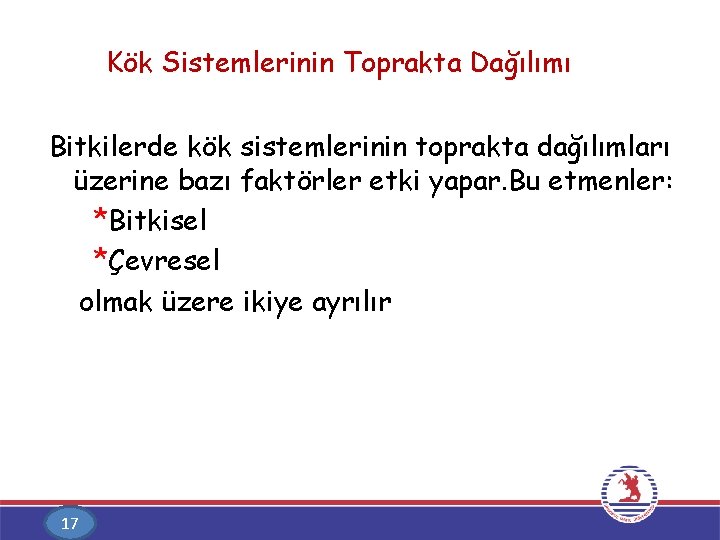 Kök Sistemlerinin Toprakta Dağılımı Bitkilerde kök sistemlerinin toprakta dağılımları üzerine bazı faktörler etki yapar.