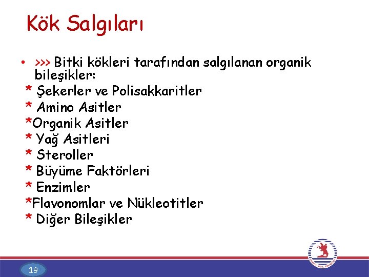 Kök Salgıları • >>> Bitki kökleri tarafından salgılanan organik bileşikler: * Şekerler ve Polisakkaritler