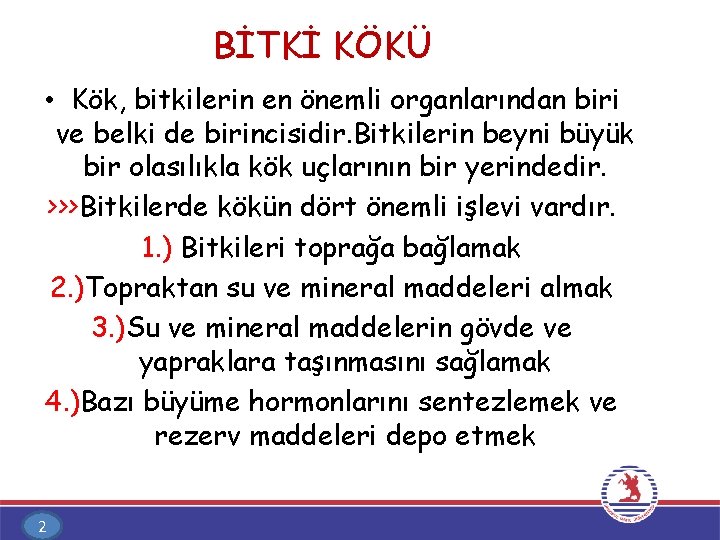 BİTKİ KÖKÜ • Kök, bitkilerin en önemli organlarından biri ve belki de birincisidir. Bitkilerin