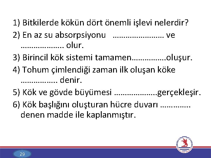1) Bitkilerde kökün dört önemli işlevi nelerdir? 2) En az su absorpsiyonu ………… ve