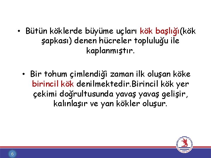  • Bütün köklerde büyüme uçları kök başlığı(kök şapkası) denen hücreler topluluğu ile kaplanmıştır.