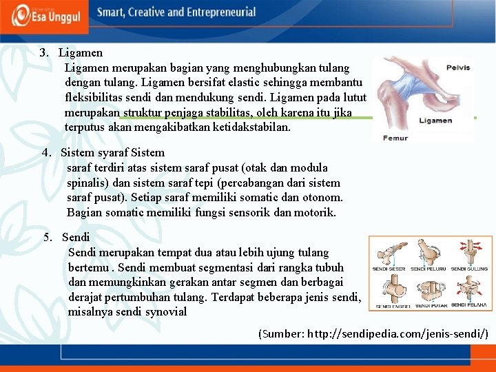 3. Ligamen merupakan bagian yang menghubungkan tulang dengan tulang. Ligamen bersifat elastic sehingga membantu