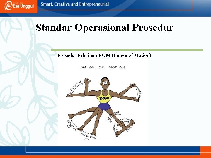 Standar Operasional Prosedur Pelatihan ROM (Range of Motion) 