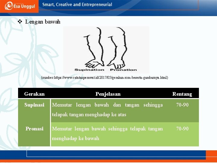 v Lengan bawah (sumber: https: //www. catatanperawat. id/2017/05/gerakan-rom-beserta-gambarnya. html) Gerakan Penjelasan Rentang Supinasi Memutar