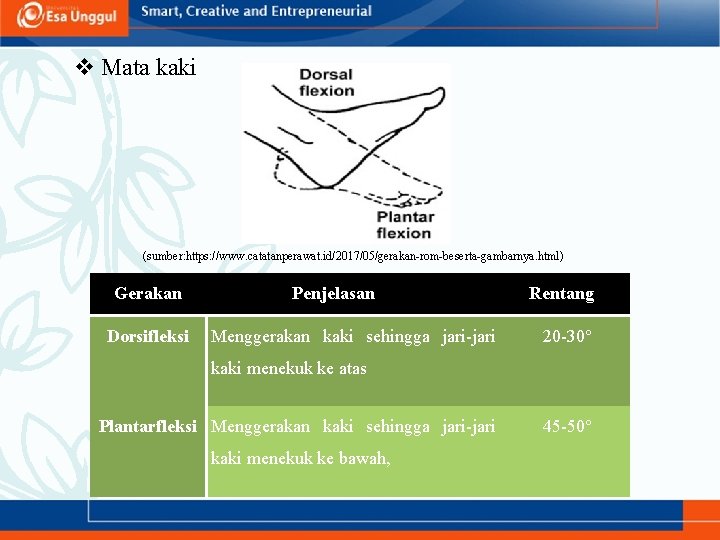 v Mata kaki (sumber: https: //www. catatanperawat. id/2017/05/gerakan-rom-beserta-gambarnya. html) Gerakan Dorsifleksi Penjelasan Menggerakan kaki