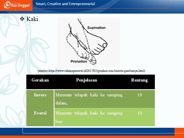 v Kaki (sumber: https: //www. catatanperawat. id/2017/05/gerakan-rom-beserta-gambarnya. html) Gerakan Invers Penjelasan Memutar telapak kaki