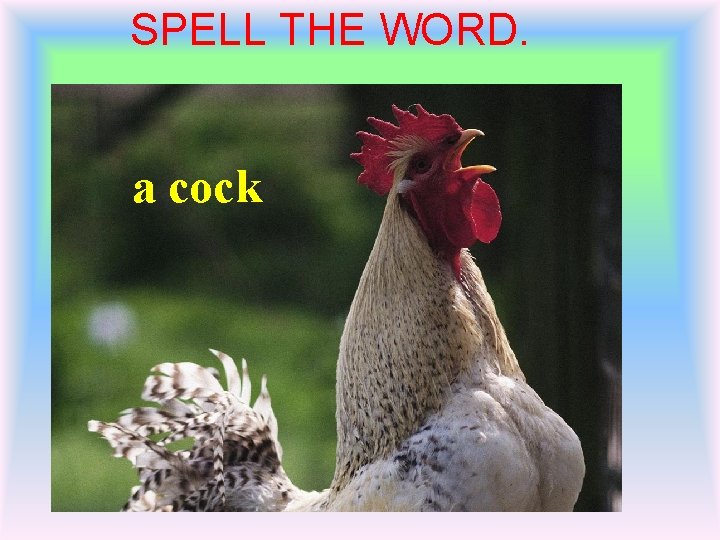 SPELL THE WORD. a cock 