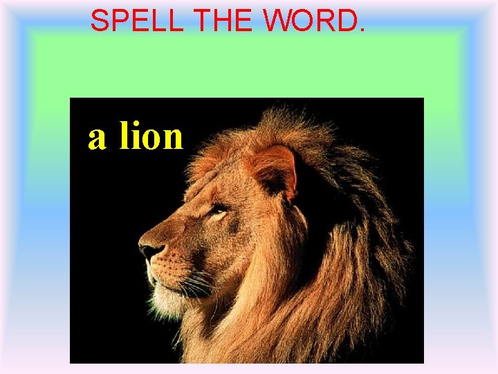 SPELL THE WORD. a lion 