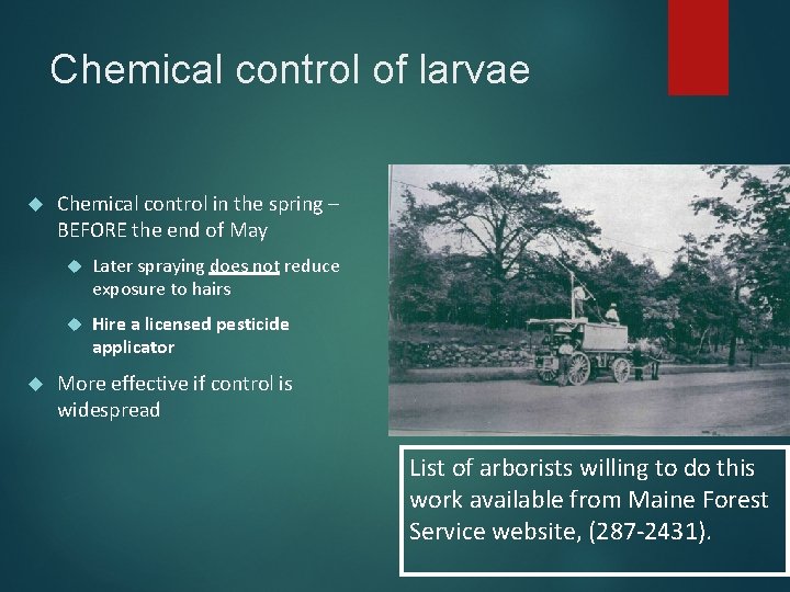 Chemical control of larvae Chemical control in the spring – BEFORE the end of