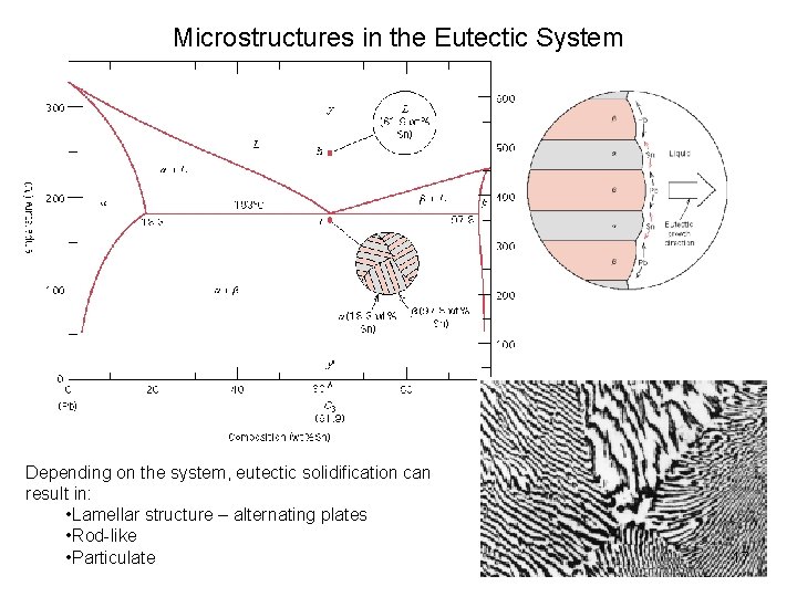 Microstructures in the Eutectic System Depending on the system, eutectic solidification can result in: Microstructures in the Eutectic System Depending on the system, eutectic solidification can result in: