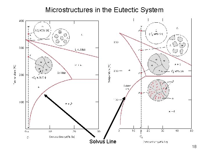 Microstructures in the Eutectic System Solvus Line 18 Microstructures in the Eutectic System Solvus Line 18