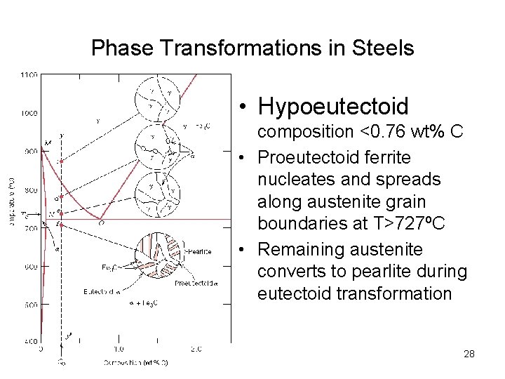 Phase Transformations in Steels • Hypoeutectoid composition <0. 76 wt% C • Proeutectoid ferrite Phase Transformations in Steels • Hypoeutectoid composition <0. 76 wt% C • Proeutectoid ferrite