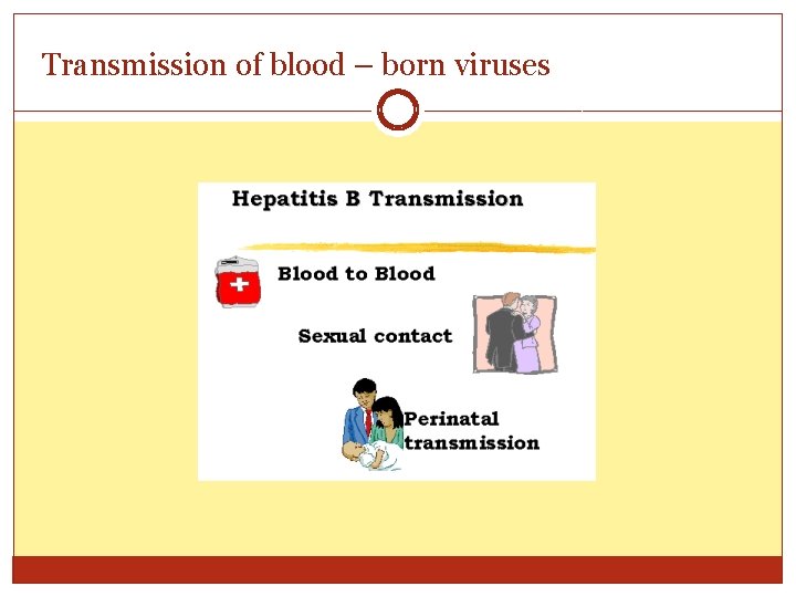 Transmission of blood – born viruses 