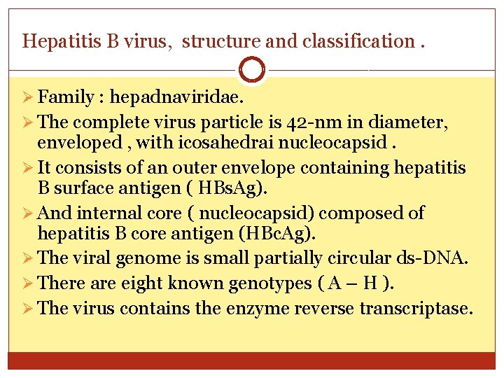 Hepatitis B virus, structure and classification. Ø Family : hepadnaviridae. Ø The complete virus