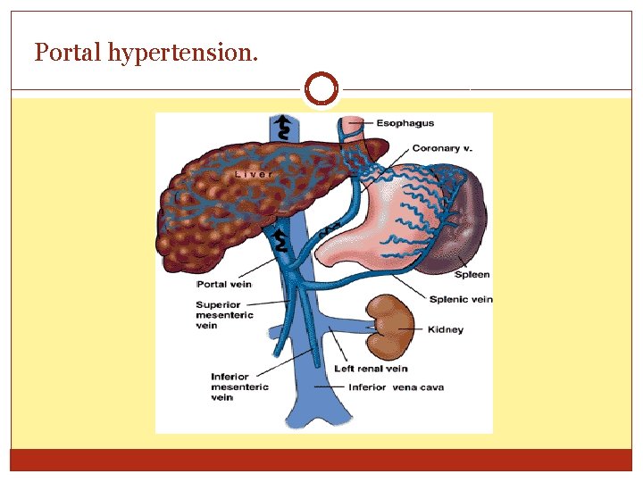 Portal hypertension. 